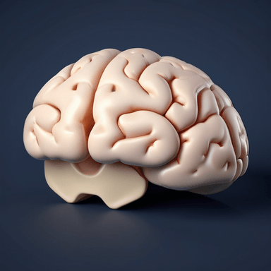 miolos — brain