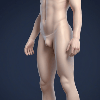 pene — penis