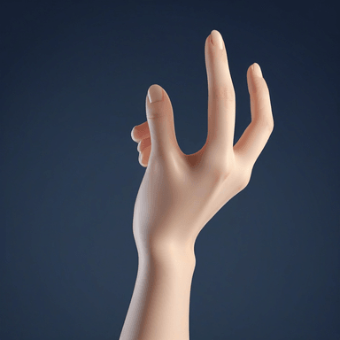 extremidade — extremity