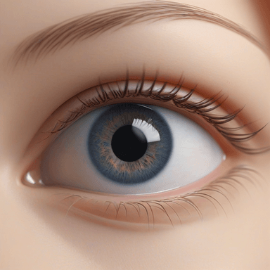 tapadera — eyelid
