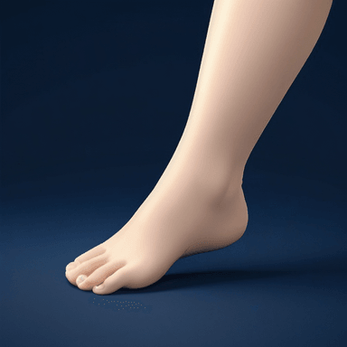 발 — foot