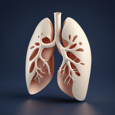 肺 — lung