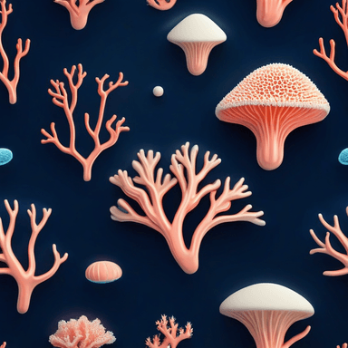 recife — reef