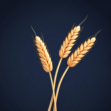 小麦 — wheat