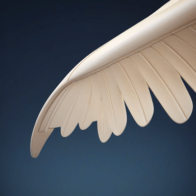 asa — wing